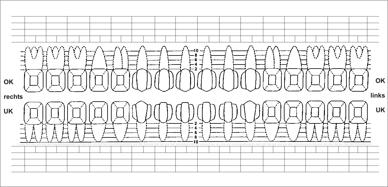 PA-Etikett Zahnschema 069