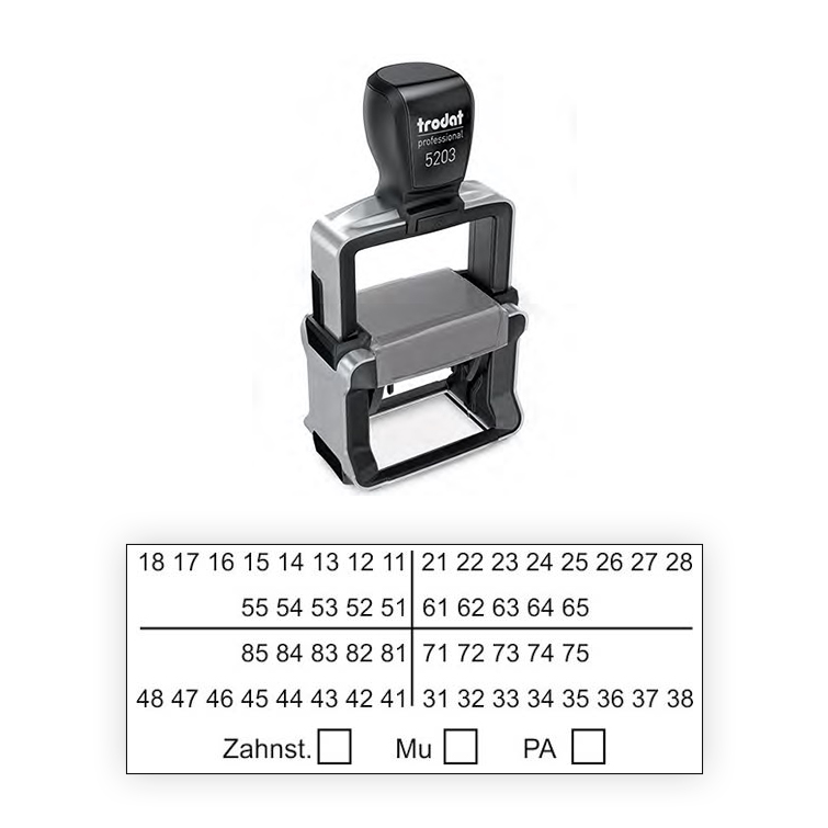 Zahnschema Stempel Z01 groß