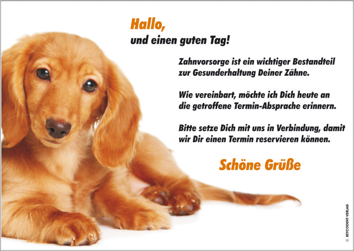 Zahnvorsorgekarte/ Recall  - Kindermotiv: Hund